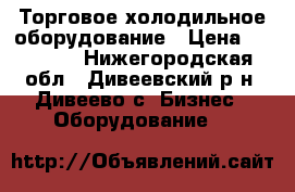 Торговое холодильное оборудование › Цена ­ 11 532 - Нижегородская обл., Дивеевский р-н, Дивеево с. Бизнес » Оборудование   